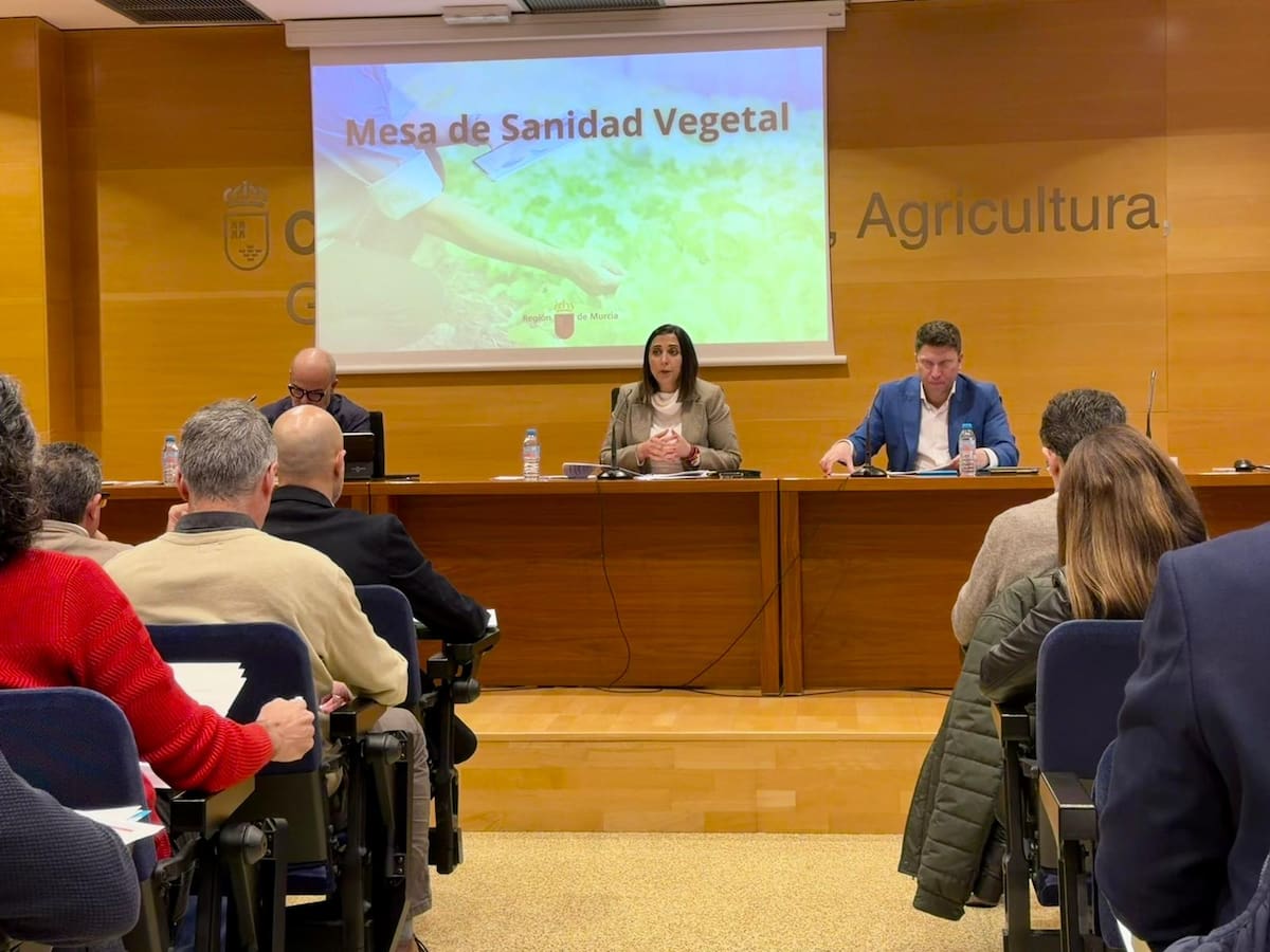La plaga del pulgón arrasa más de 6.000 hectáreas de cultivo en la Región