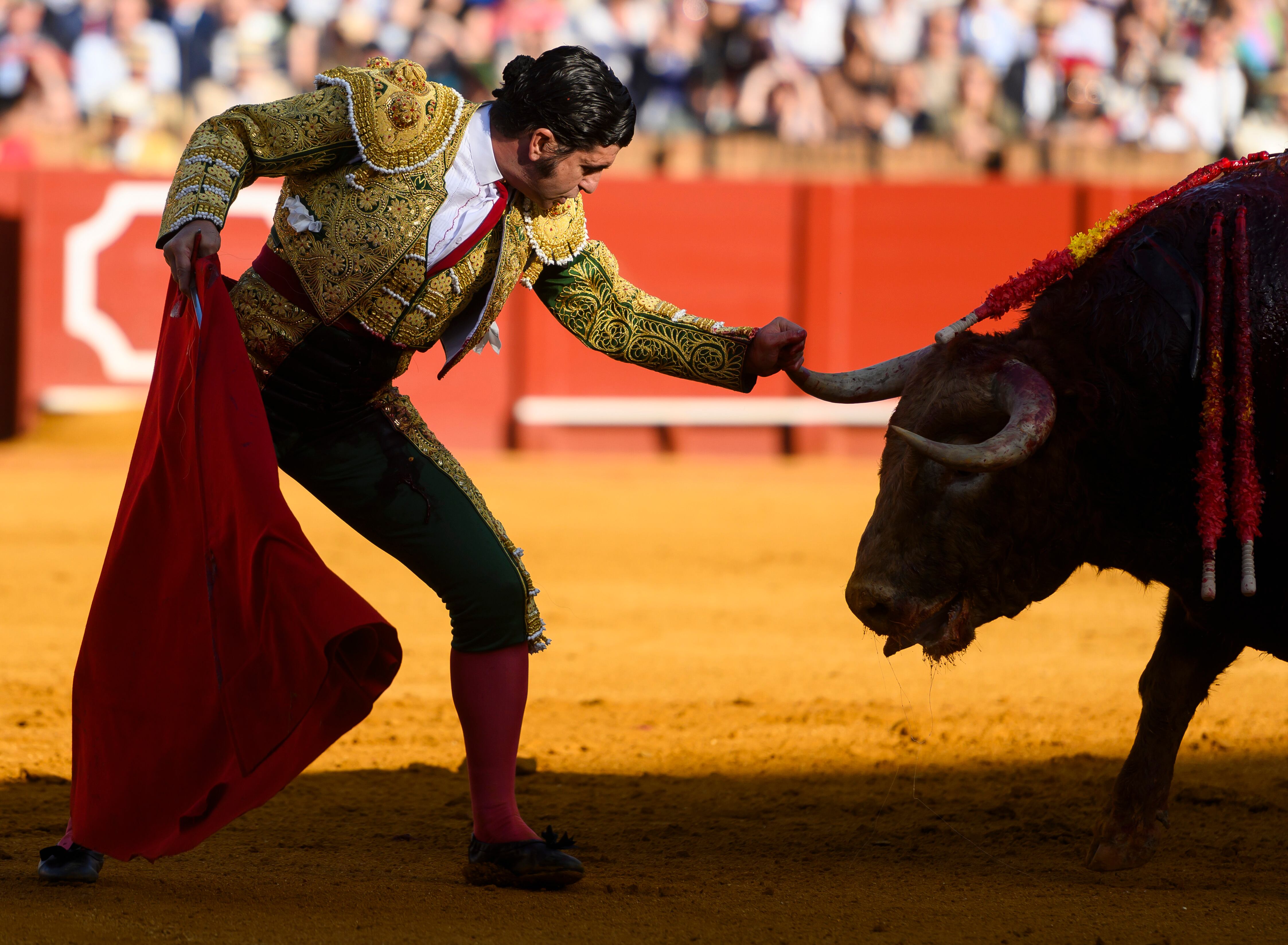 SEVILLA. 01/05/2025. - El diestro Morante de La Puebla con su primer toro de la tarde ?este jueves, en el sexto festejo de abono en La Real Maestranza de Sevilla. EFE/ Raúl Caro.