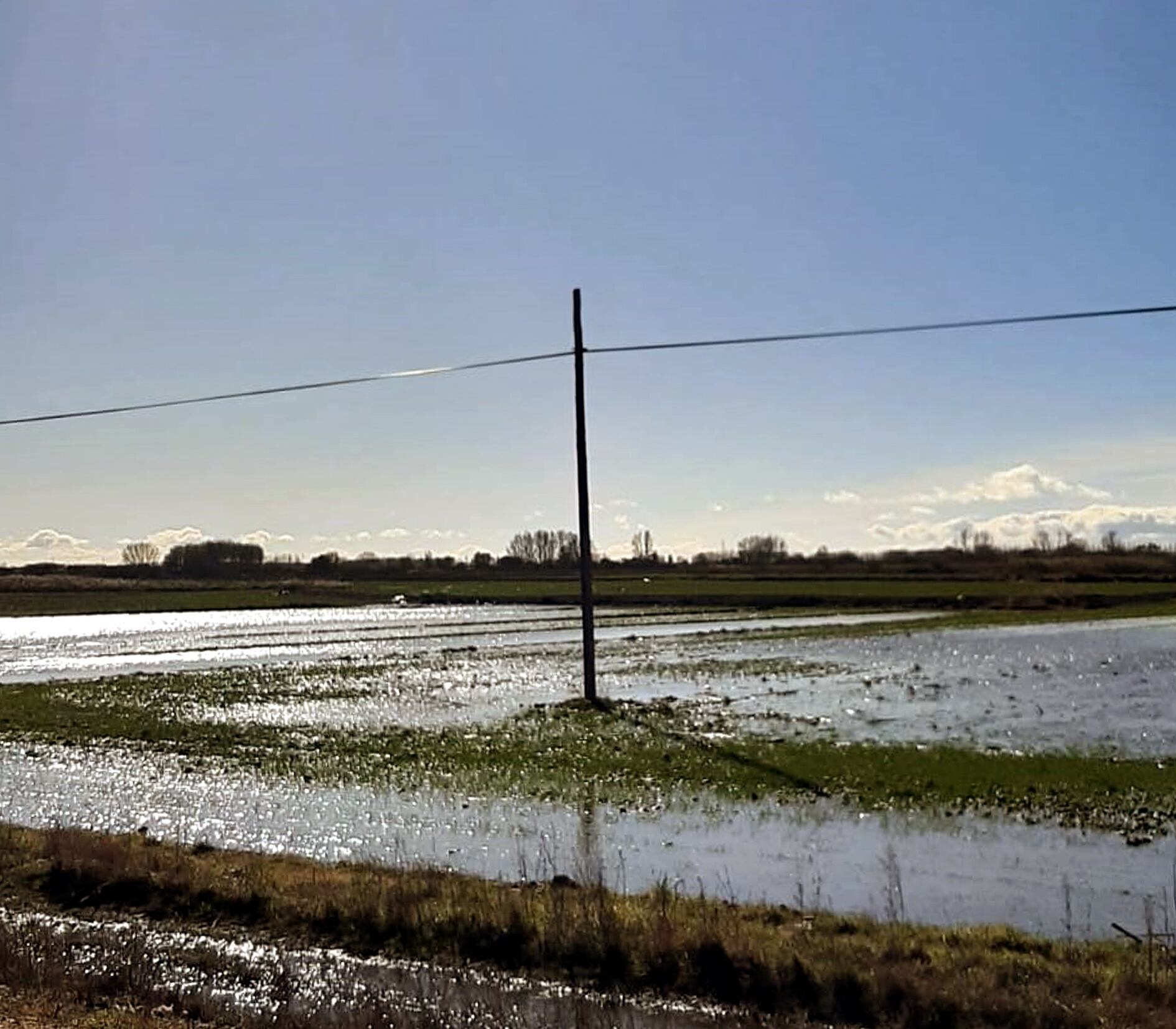 Tierras inundadas en la Serna