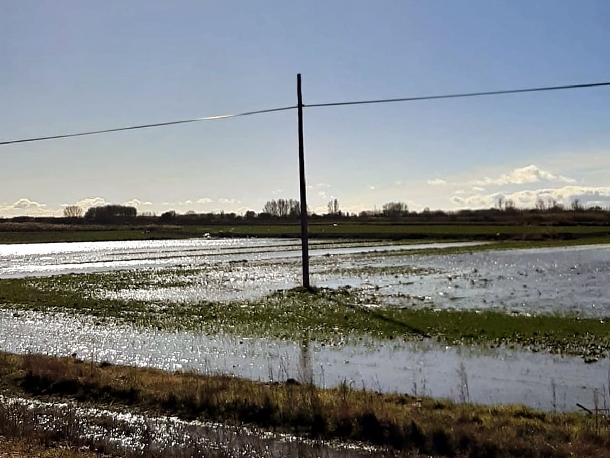 ASAJA alerta de los problemas que provocan las lluvias en el campo de Palencia