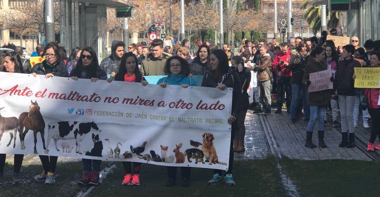 I Caminata Contra el Maltrato Animal.