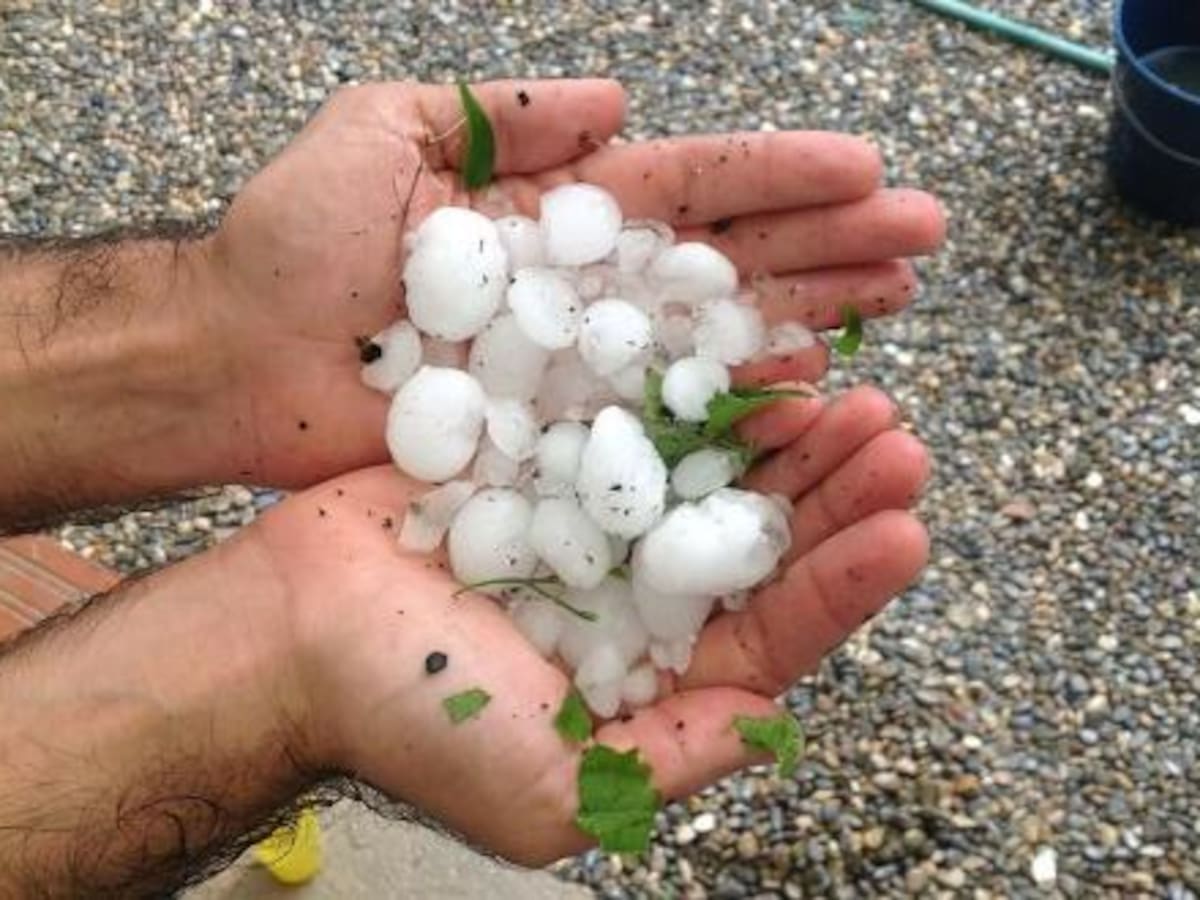 La pedregada de la dècada trinxa les pomeres i el blat de moro del Baix Ter