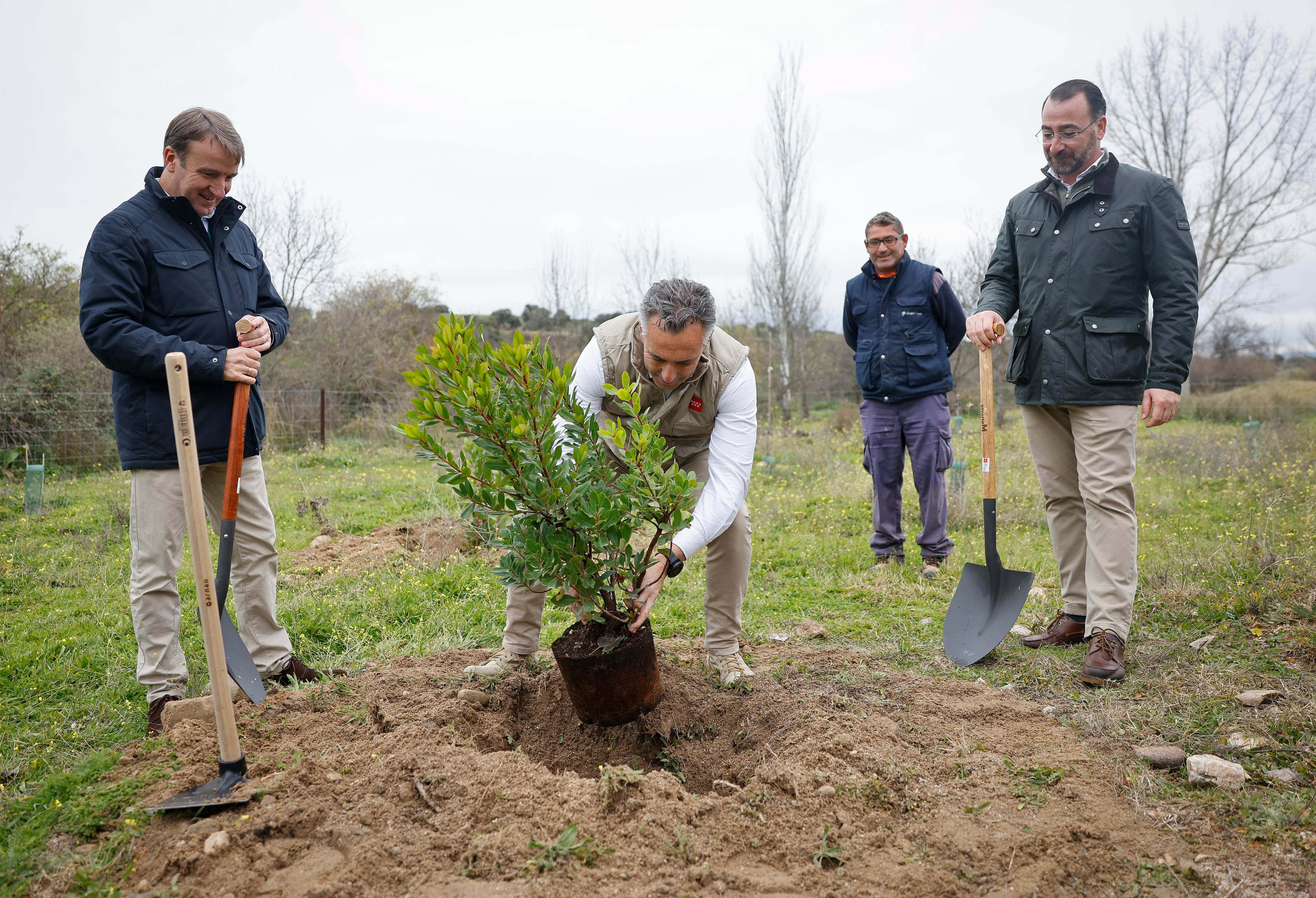 El consejero de Medio Ambiente, Carlos Novillo, y los alcaldes de Tres Cantos y Colmenar Viejo, Jesús Moreno y Carlos Blázquez, plantan el árbol número 150.000 del Arco Verde