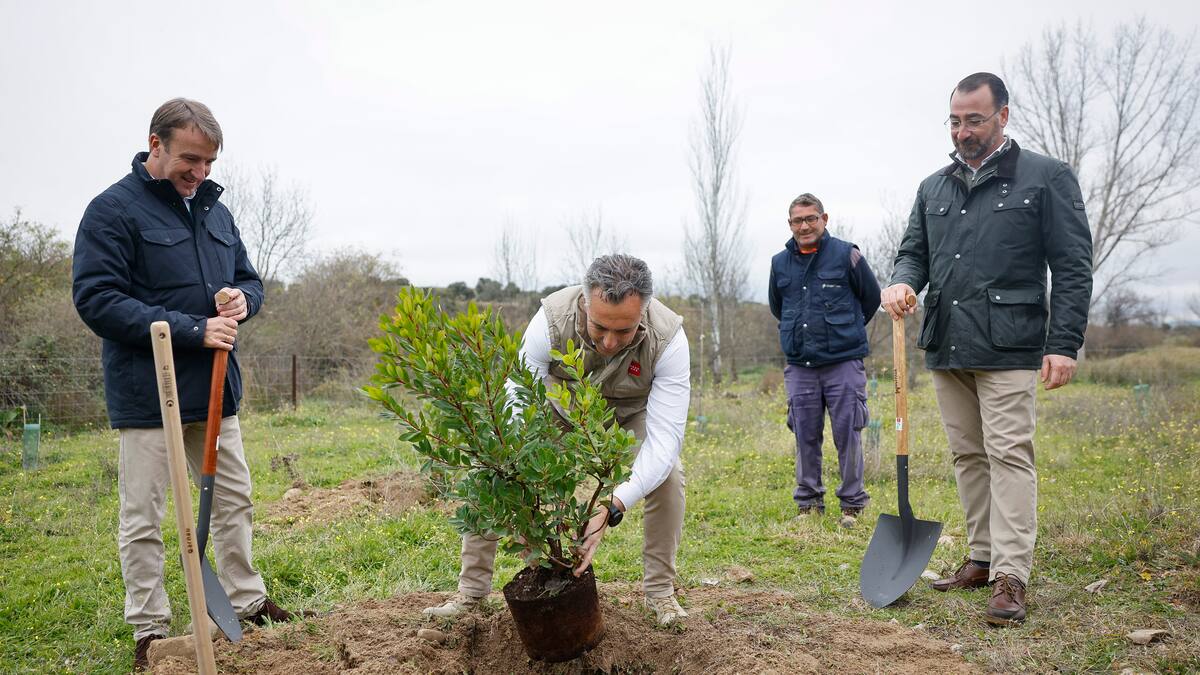 La Comunidad de Madrid planta en Tres Cantos el árbol número 150.000 del Arco Verde