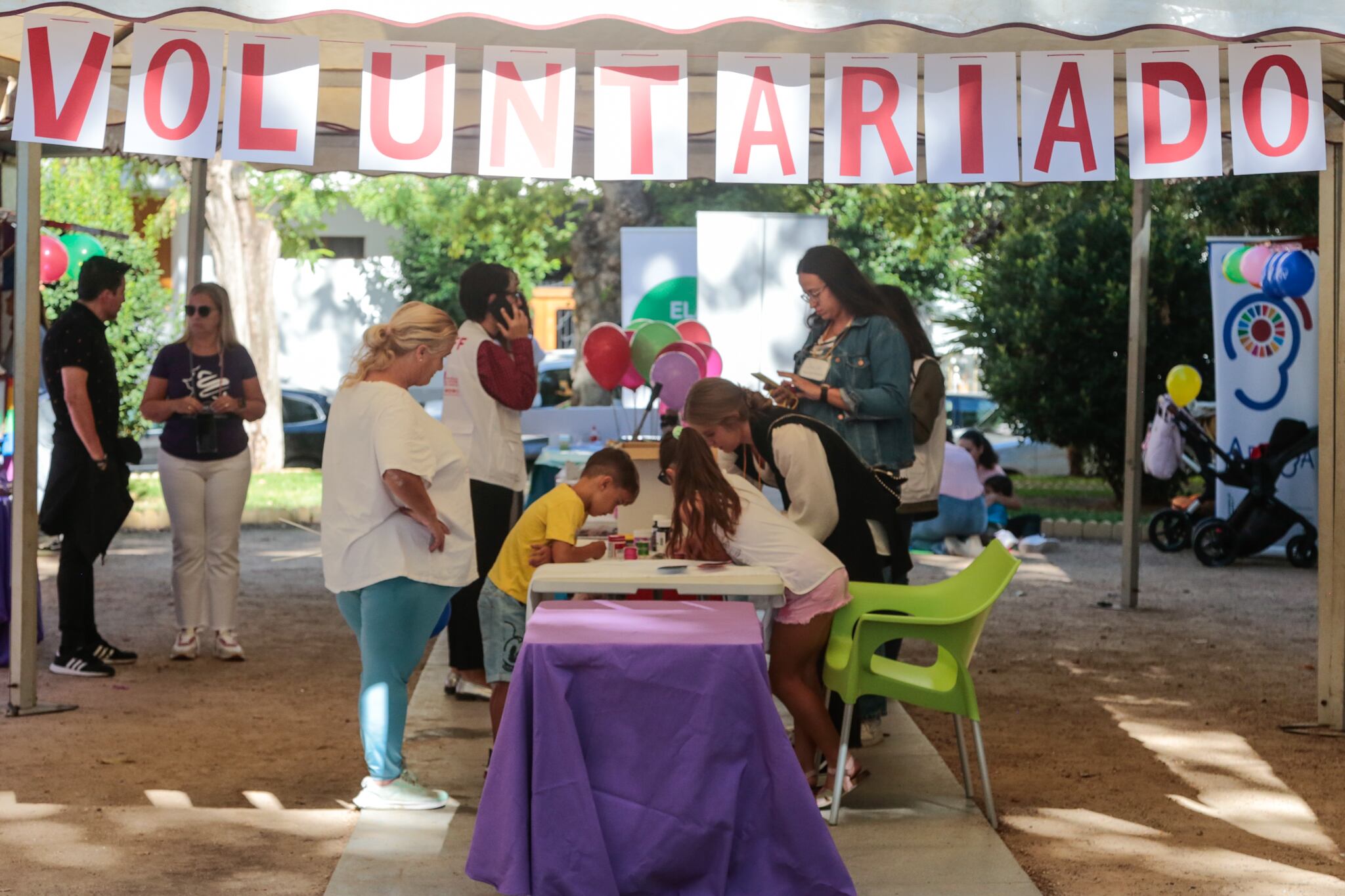 Plataforma del Voluntariado de Mérida