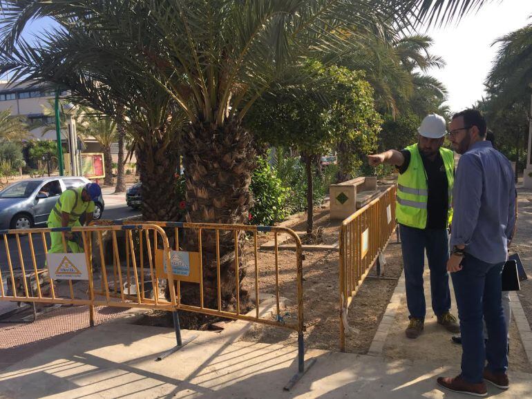 El concejal, Héctor Díez, ha visitado las obras