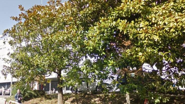 Entrevista a Soledad Sánchez (30/04/2019)