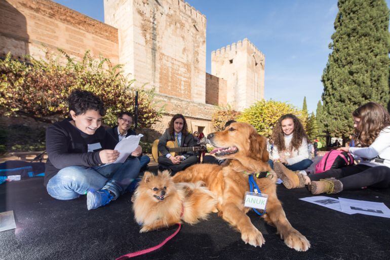 El director de la Alhambra, Reynaldo Fernández(segundo por la izquierda), en la presentación del programa navideño del monumento