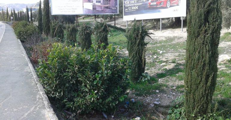 Árboles cortados en la Avenida de Granada.