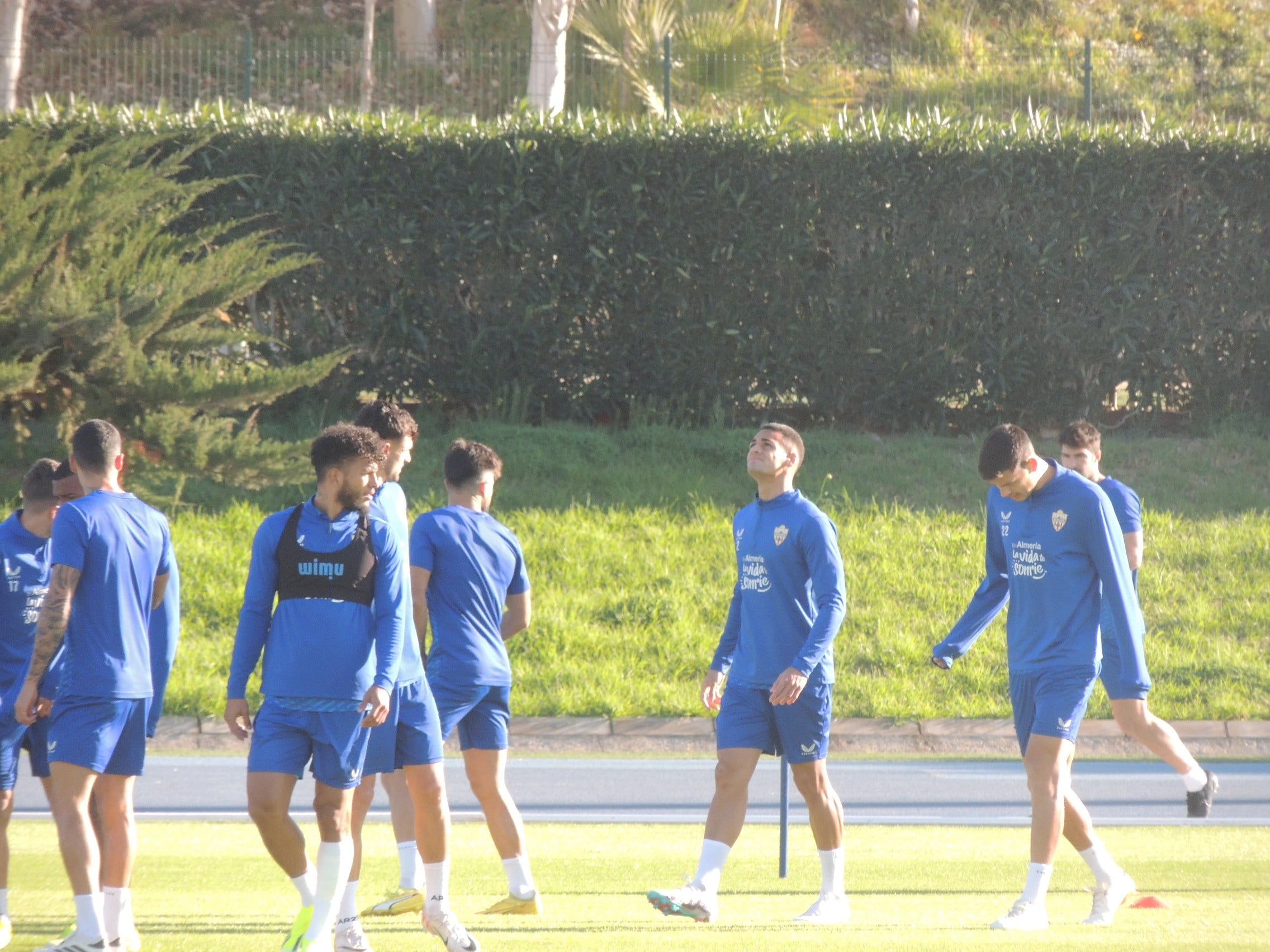 Kaiky, la imagen del día en el campo Anexo.