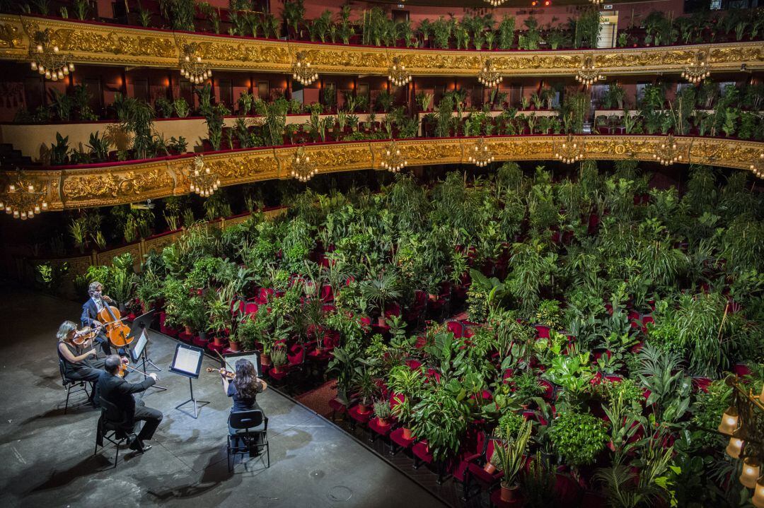 El Cuarteto del Liceu tocando  &#039;Crisantemi&#039; by Puccini parar 2.292 plantas