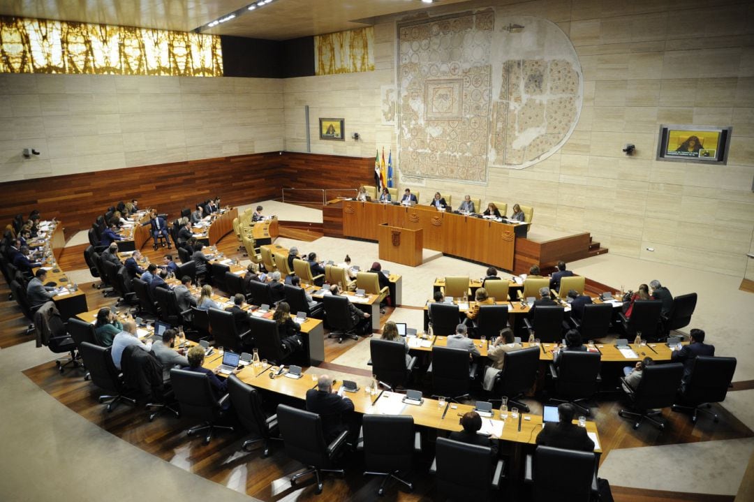 Pleno de la Asamblea 