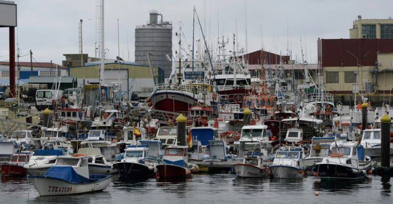 El norte de España es uno de los mejores lugares para disfrutar de la merluza fresca