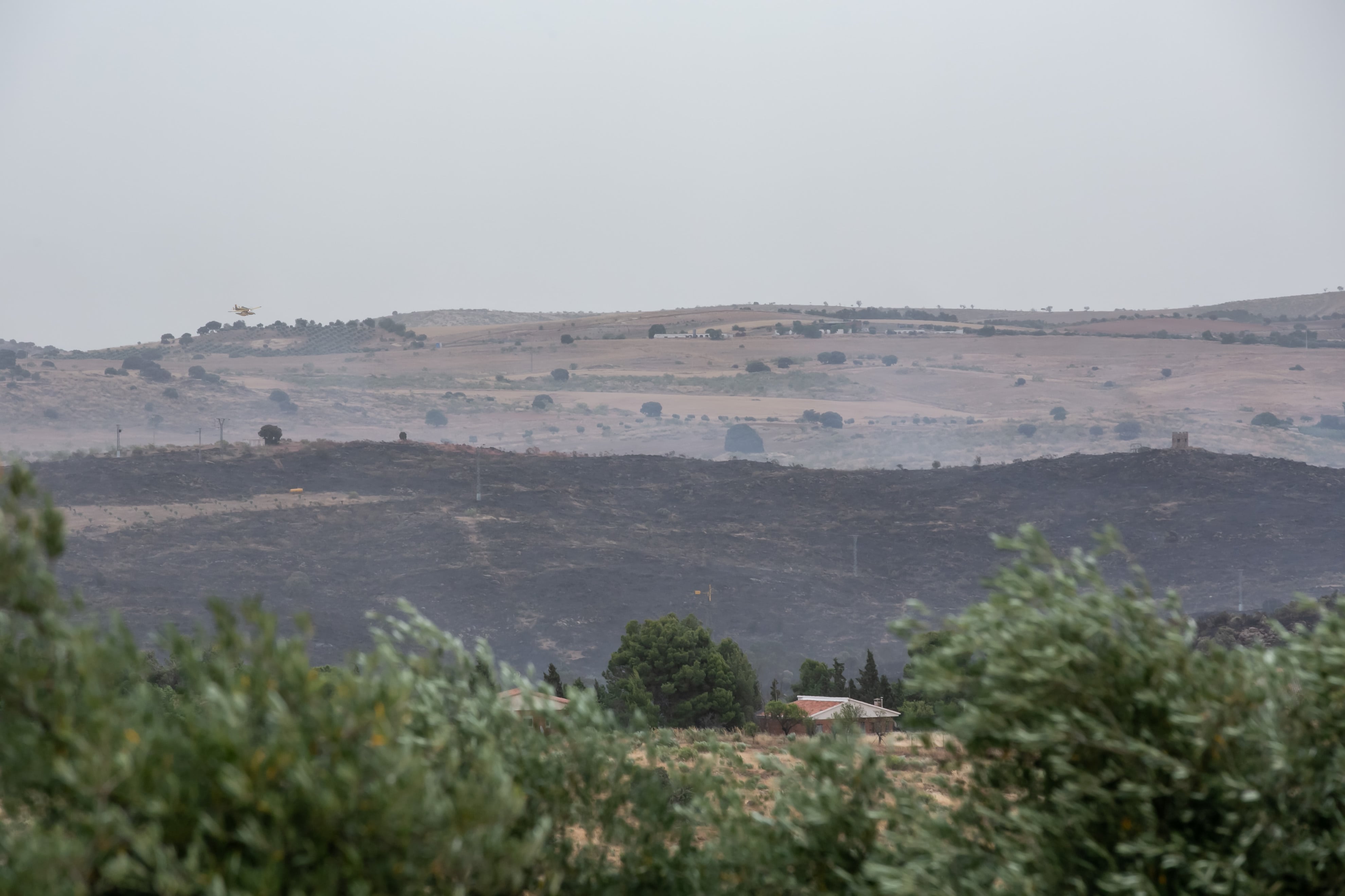 El incendio ha afectado a una zona de matorral y pastizal