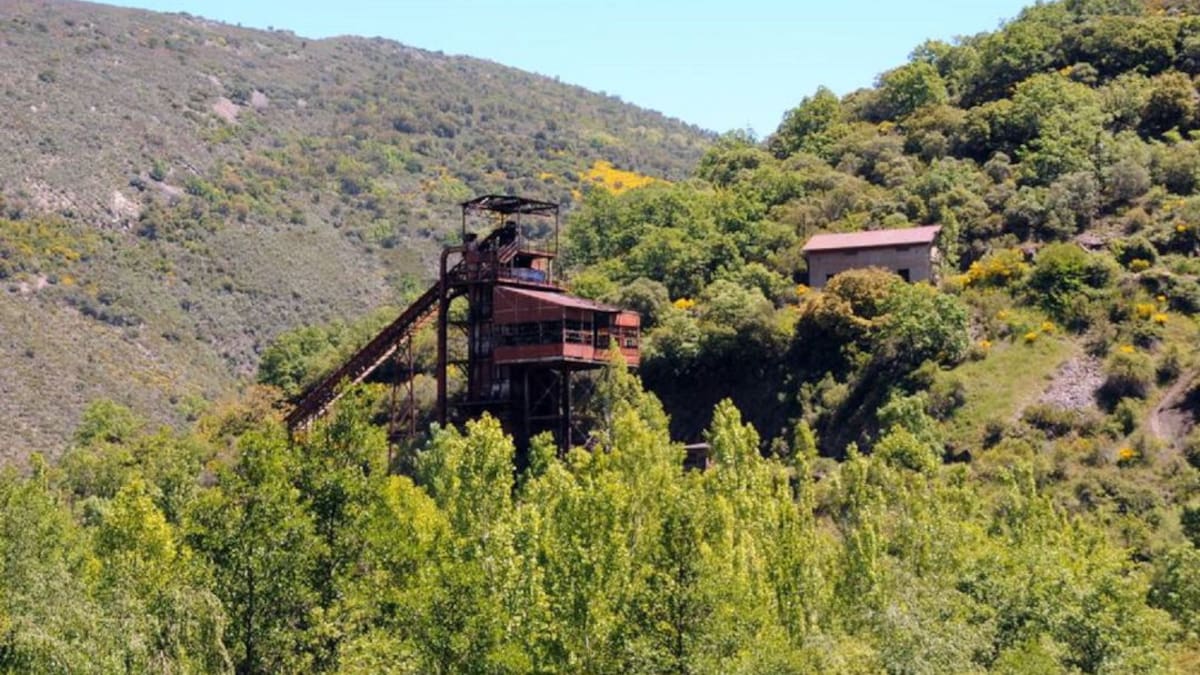 Coto Wagner y Vivaldi, un arañazo en un enorme filón