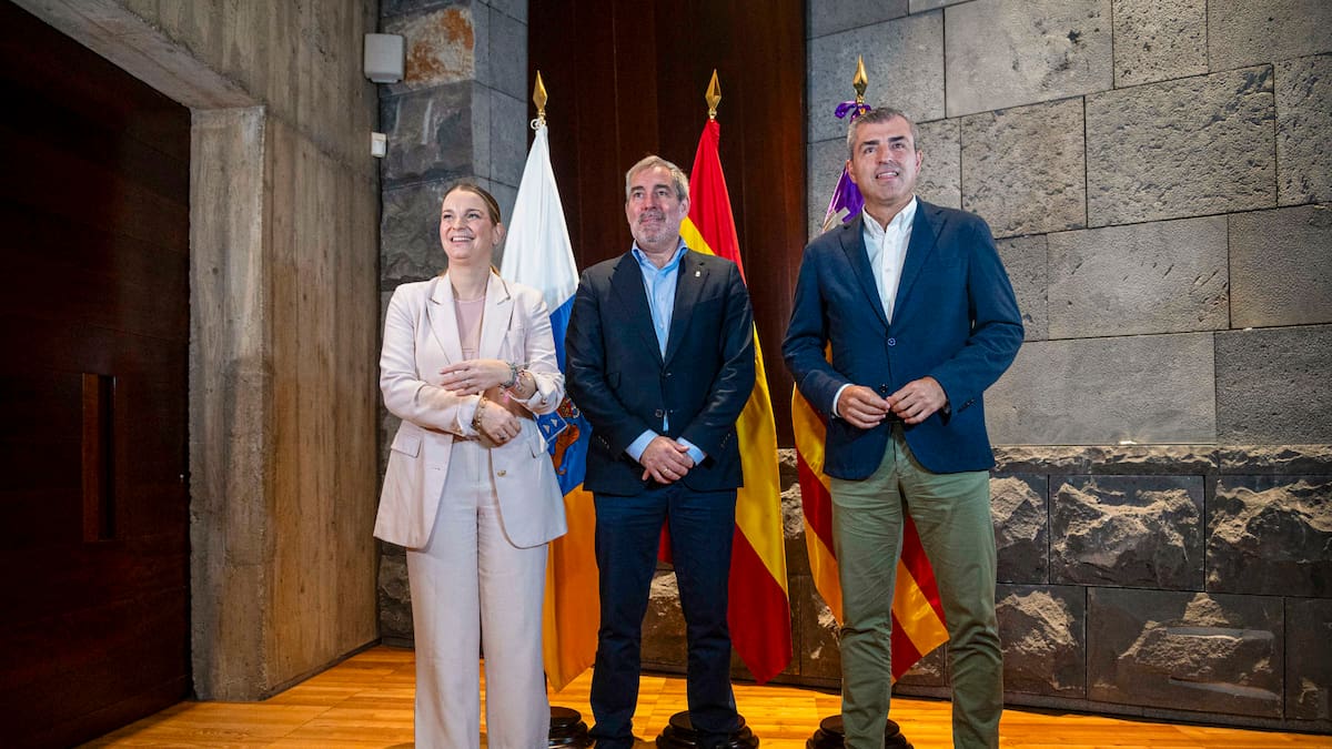 La presidenta del Cabildo de Tenerife califica de "avalancha" la crisis en el Archipiélago