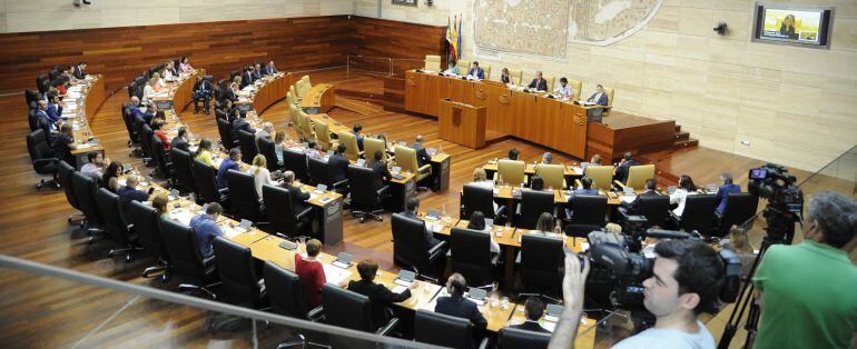 Sesión plenaria en la Asamblea