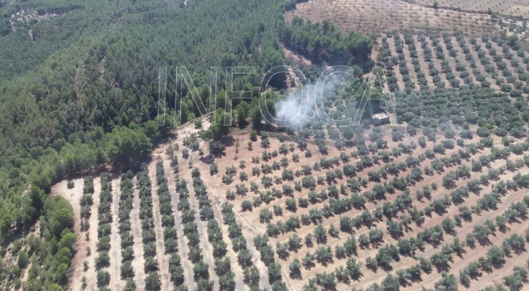 Conato de incendio en Cuevas del Campo