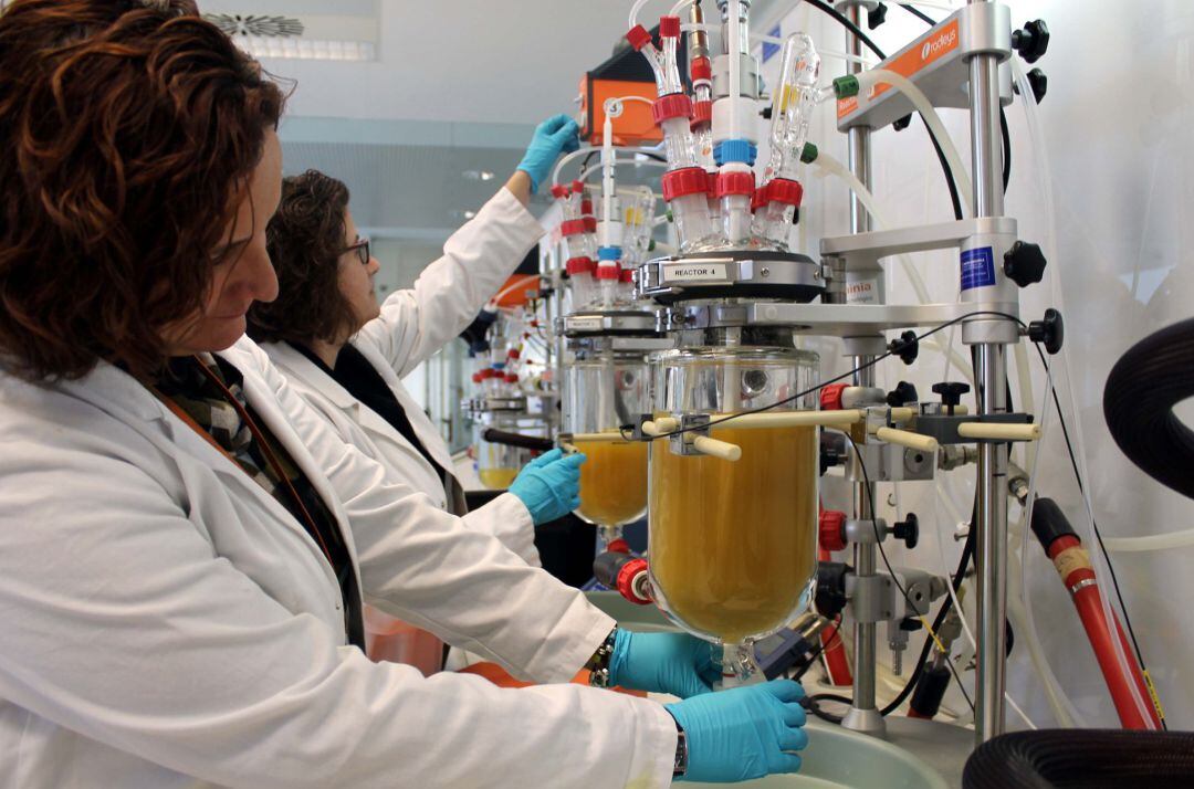 Laboratorio de Ainia.