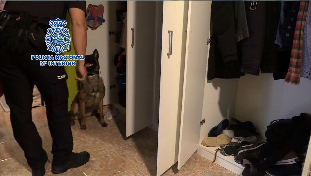 Imagen del registro en la vivienda