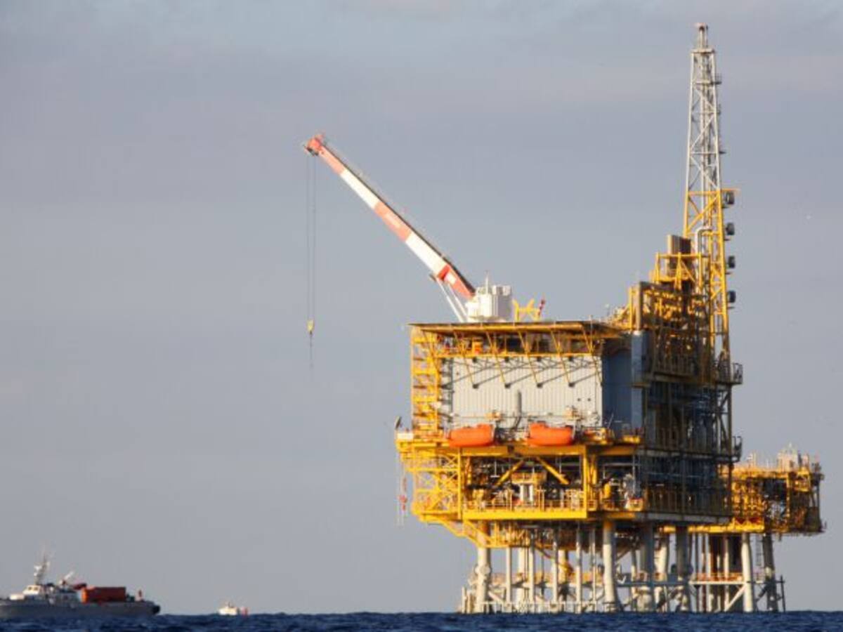 17 imputats per delictes de prevaricació contra el medi ambient