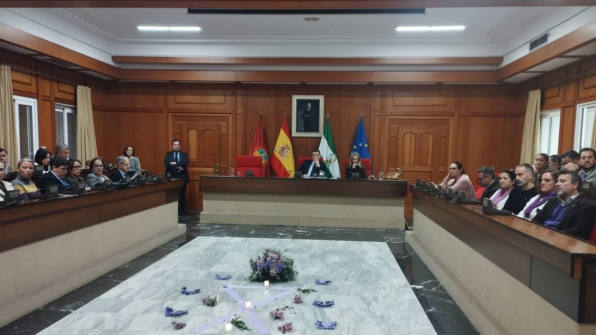 La sociedad toma la palabra en los plenos de Ayuntamiento y la Diputación con motivo del 25N