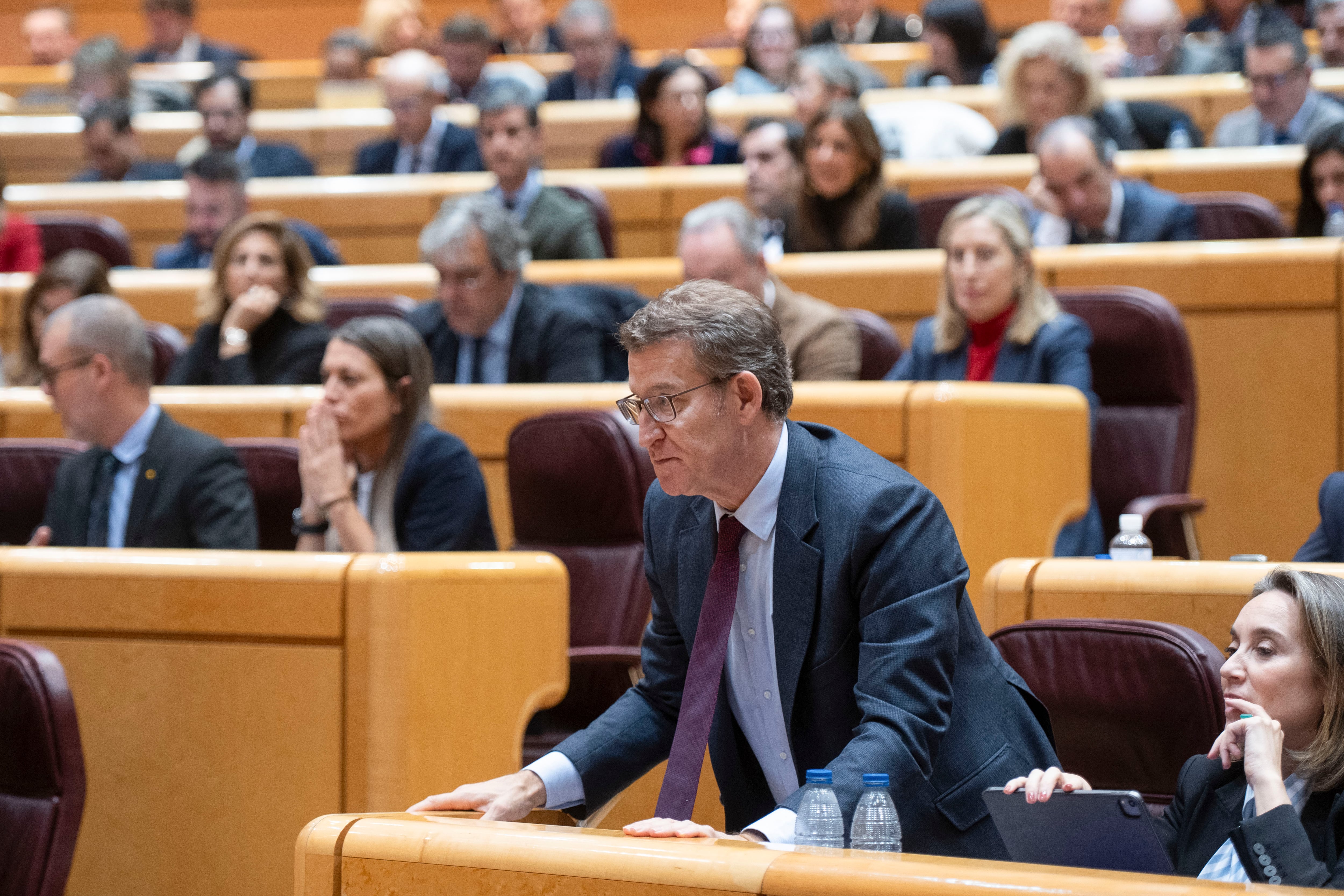 El presidente del PP, Alberto Núñez Feijóo (c), en una sesión en el Senado. Archivo.