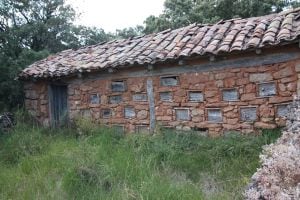 Colmenar. Cozuelos de Okeda. Tío Aurelio