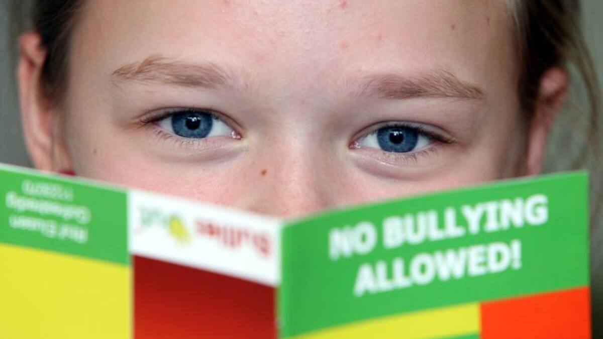'Quan hi ha assetjament escolar, l'escola haurà d'acreditar que ha fet tot el possible perquè no passés'