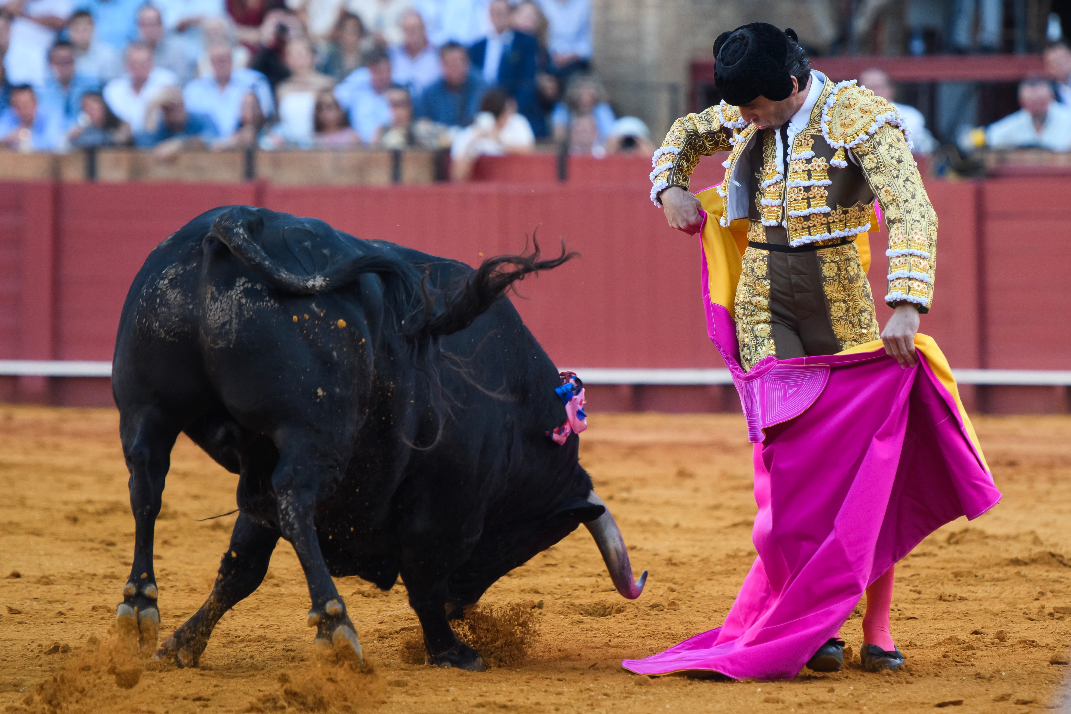 SEVILLA, 29/09/2024.- El diestro Juan Ortega en su primer toro de la tarde en el festejo 24 de abono perteneciente a la Feria de San Miguel, en la plaza de la Maestranza de Sevilla. EFE/ Raúl Caro
