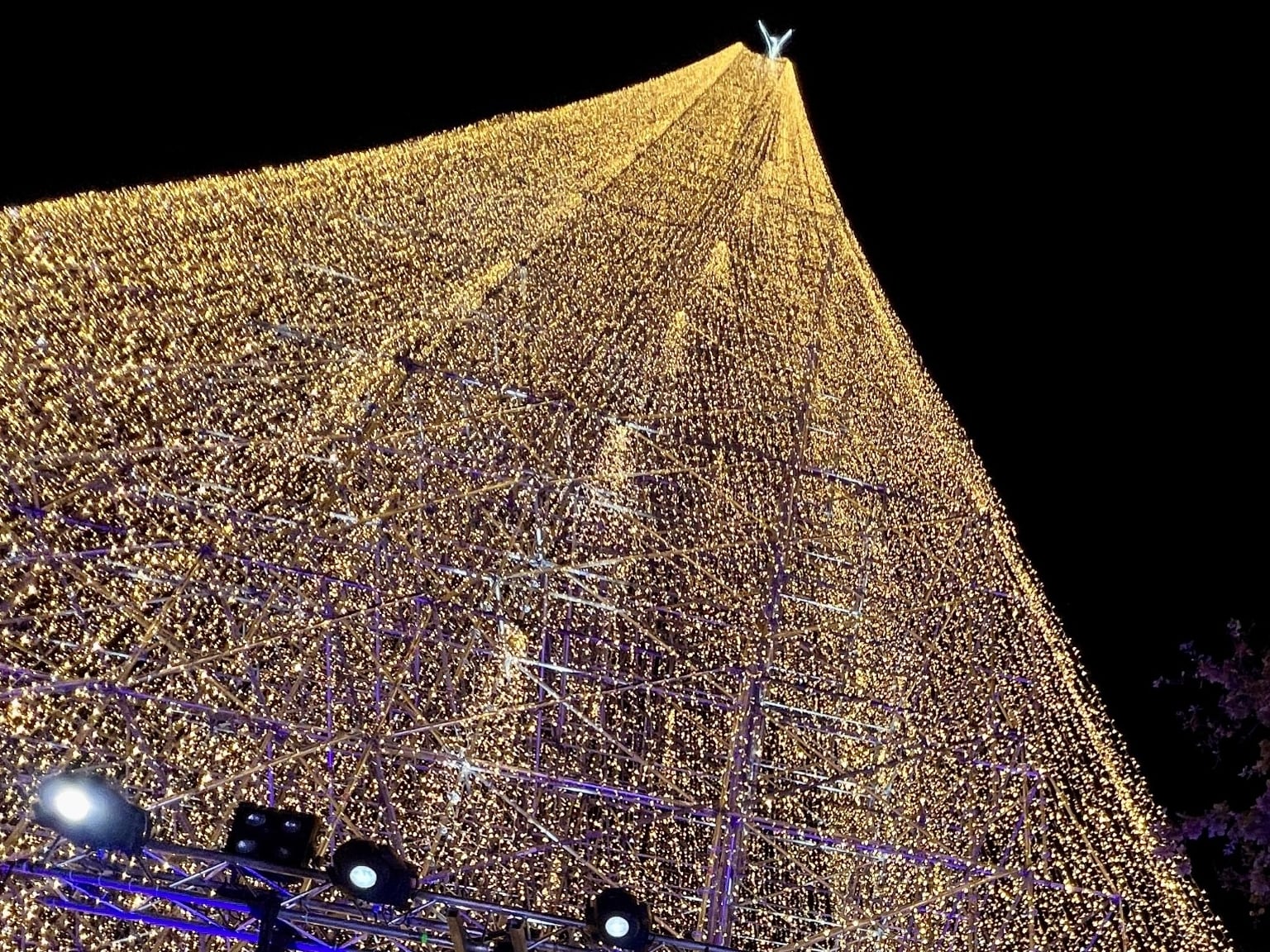 Árbol de Navidad en Cartes.