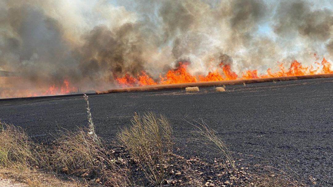 Instantánea de las llamas en la Finca &quot;Cantagallos&quot; de Ciudad Real