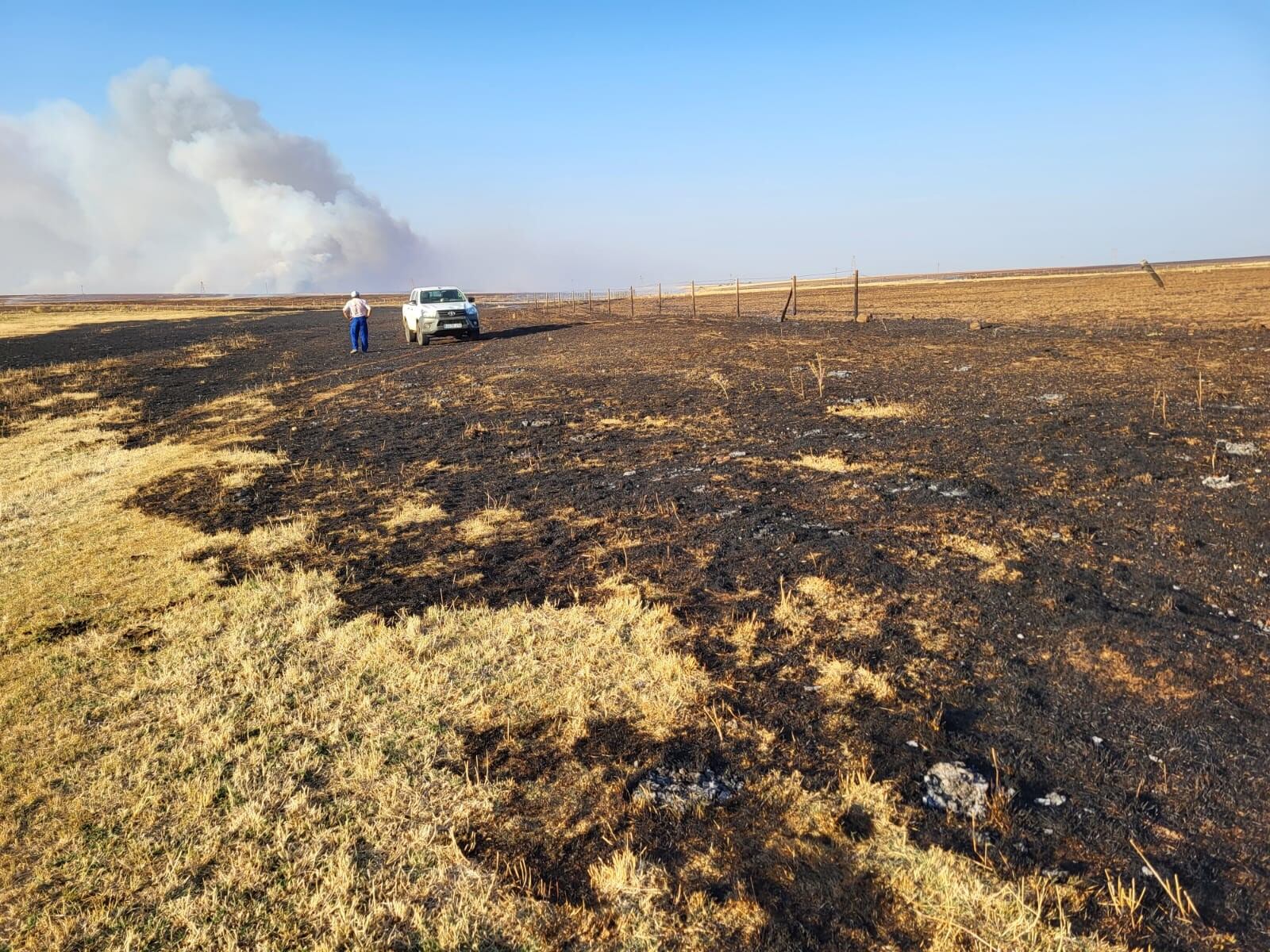 Superficie afectada en el incendio de Almaraz
