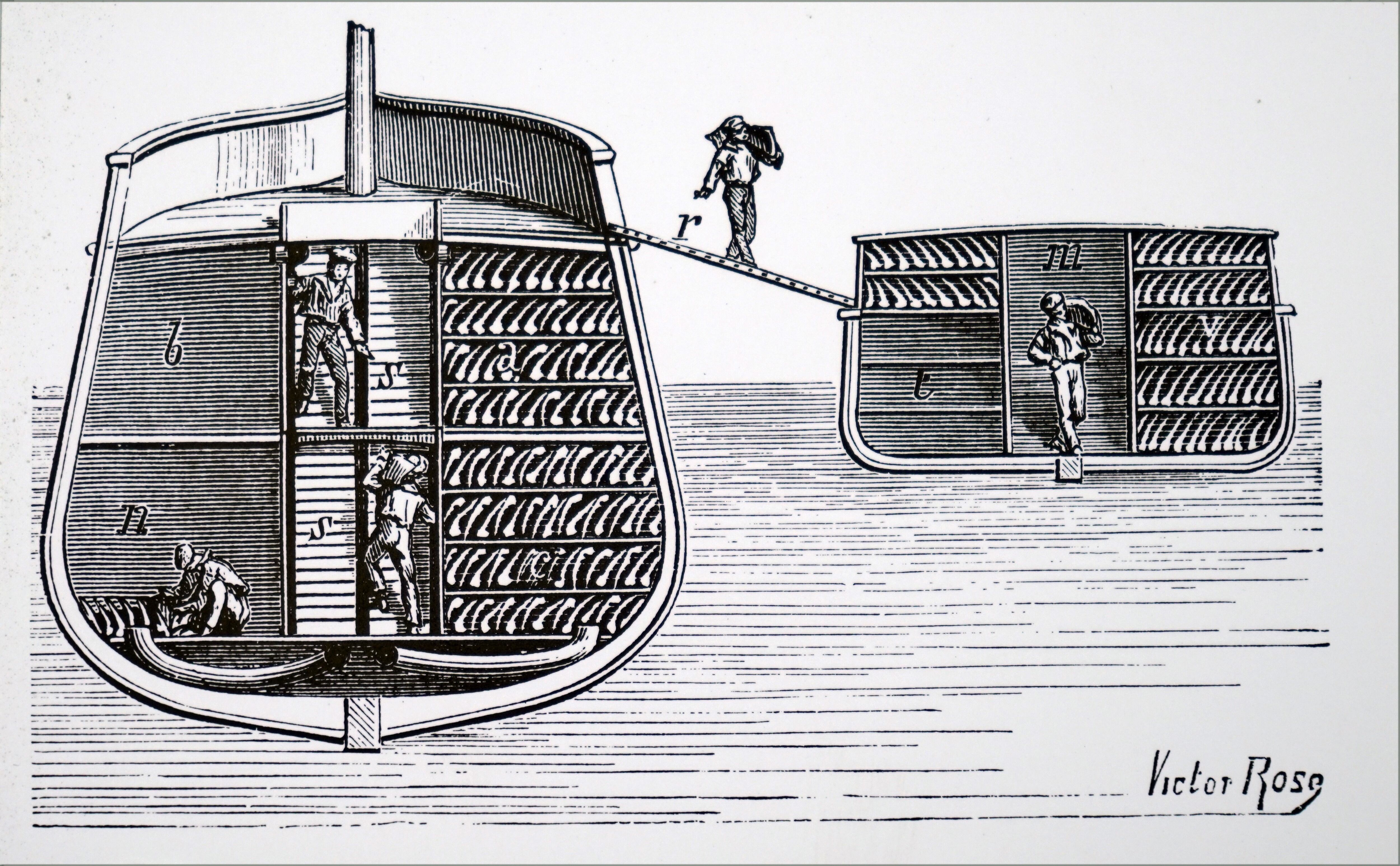 Sección transversal de las bodegas de un buque frigorífico, con hombres manipulando bandejas de carne, proyectada por Charles Tellier (1828-1913), ingeniero francés. Siglo XIX.