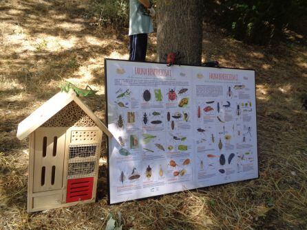 Modelo en oequeño formato del hotel de insectos y panel explicativo de la fauna beneficiosa