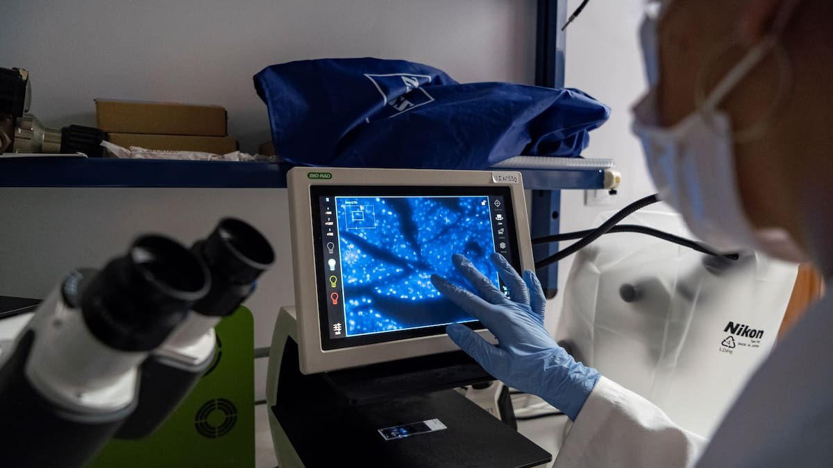 La inteligencia artificial generativa, aliada del INiBICA en la investigación biomédica