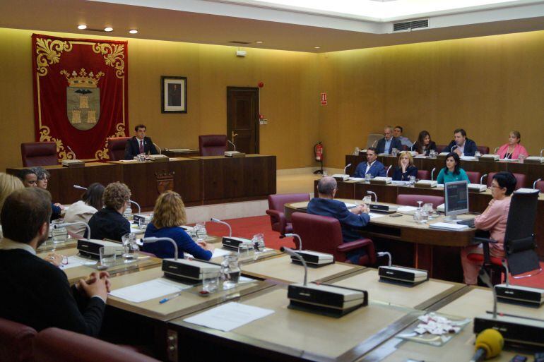 Imagen del pleno extraordinario celebrado este viernes en el ayuntamiento de Albacete