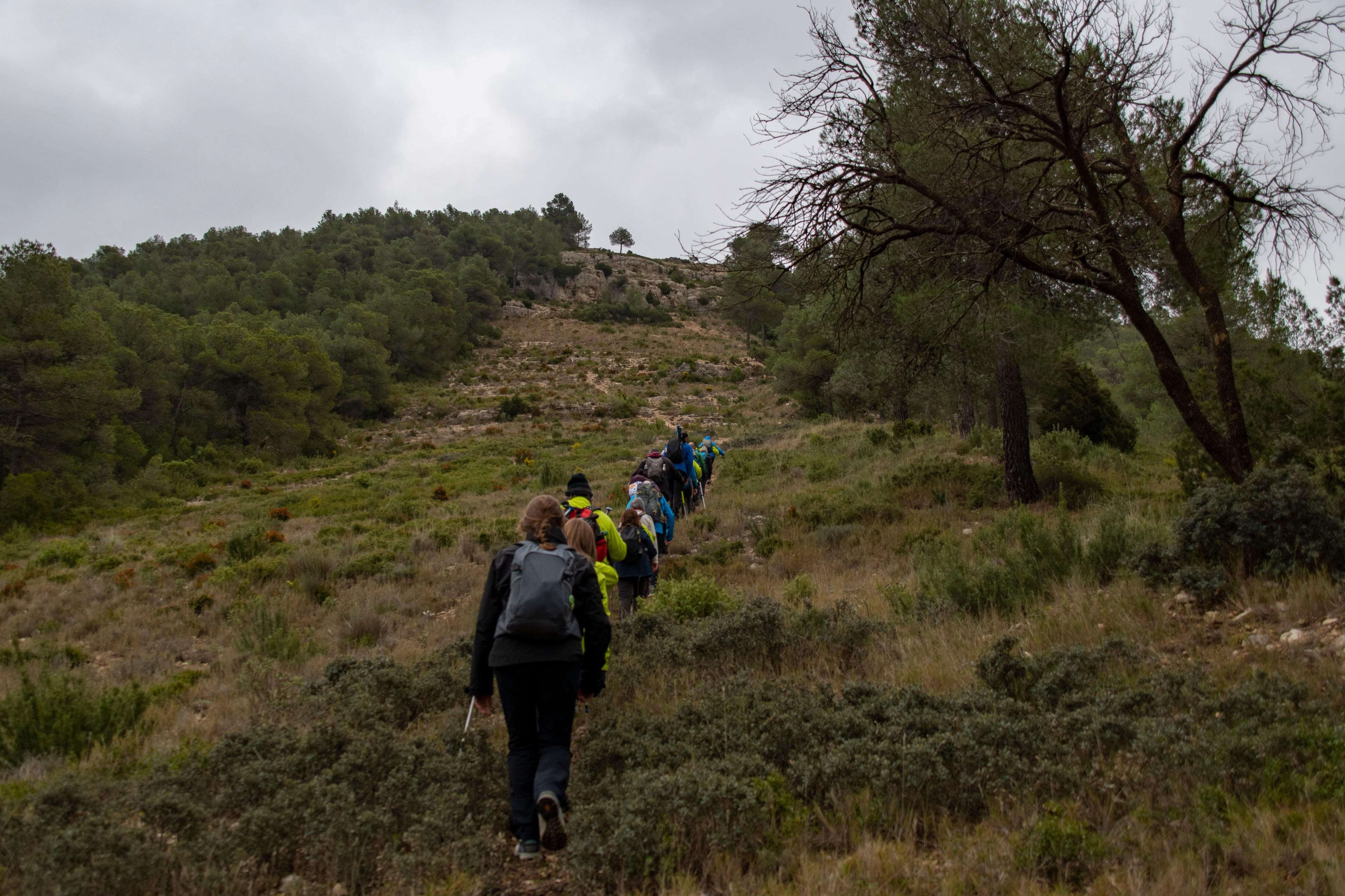 Aviana, en el Puntal de la Cruz, en Jarafuel