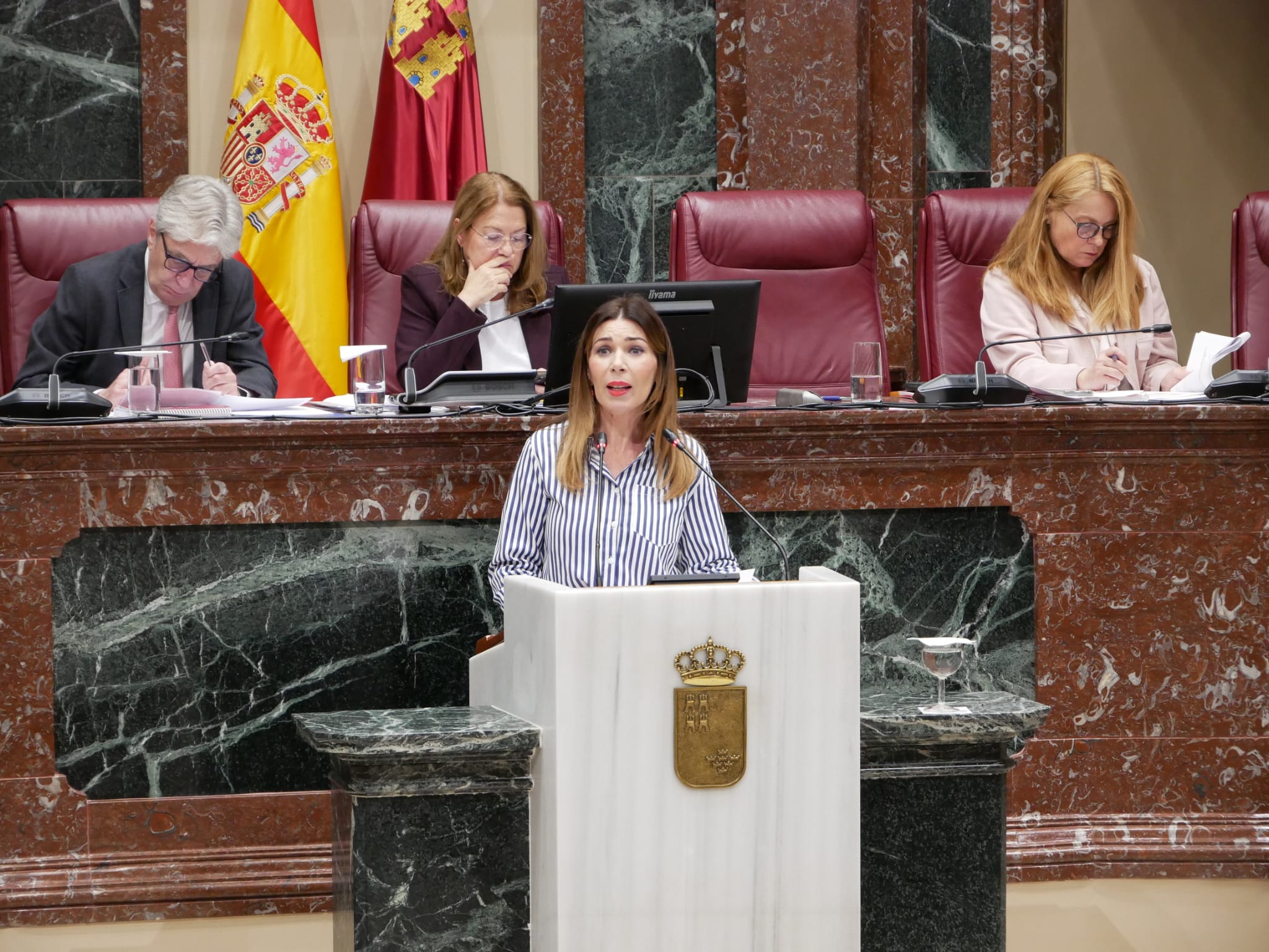 María del Carmen Ruiz, diputada popular