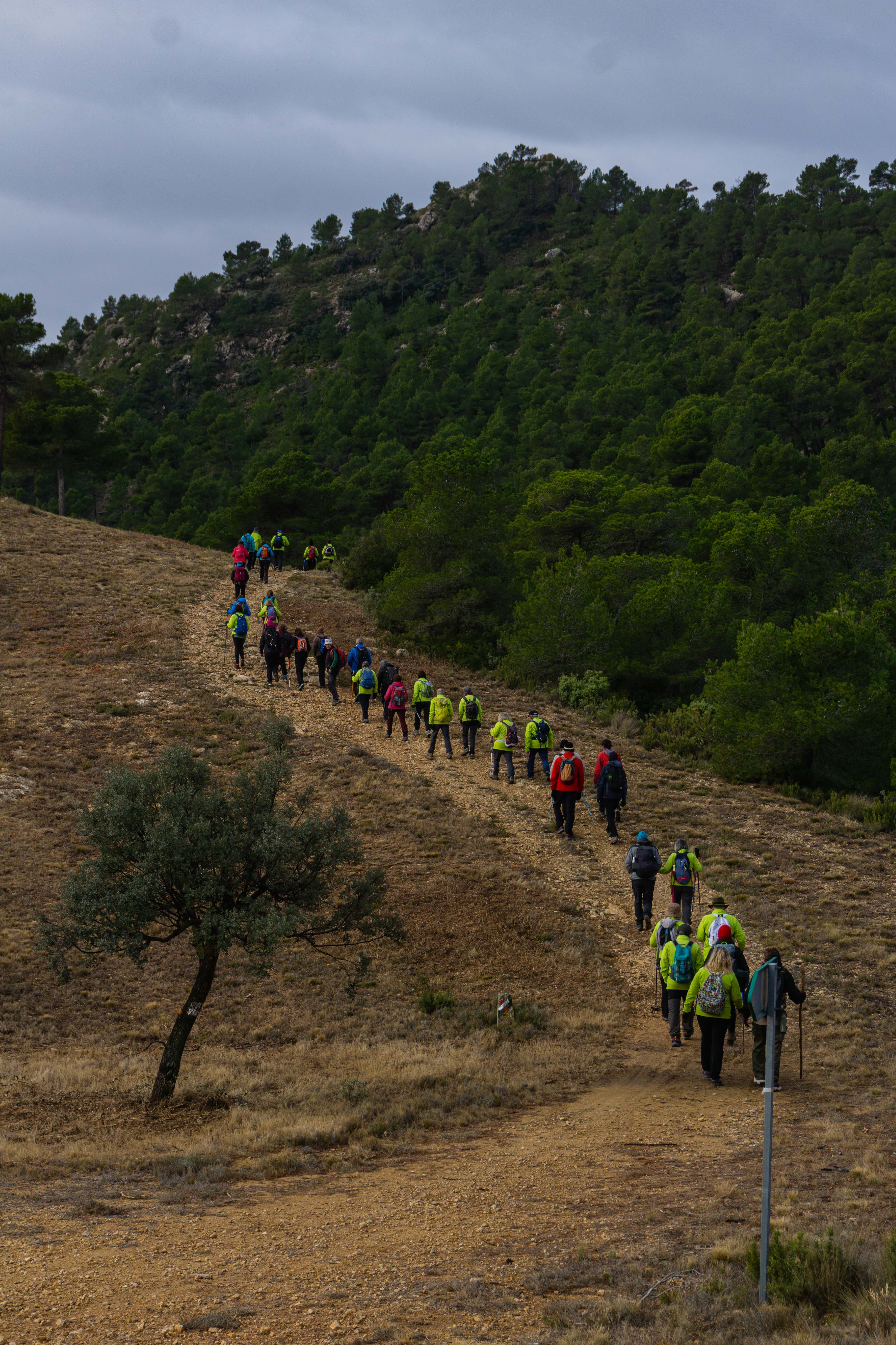 Aviana en Fontanelles