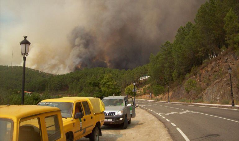 Personal y vehículos llegan al paraje donde se localiza el incendio.