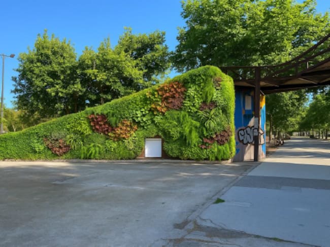 Nuevo jardín vertical en el Parque Tío Jorge
