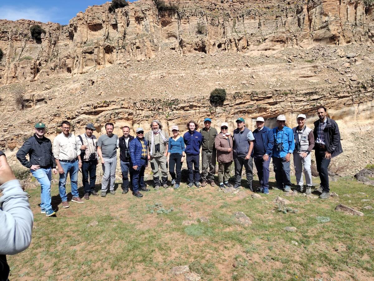 Técnicos del Proyecto Eremita participan en Marruecos en un estudio de viabilidad de reintroducción del ibis eremita en el Parque Nacional de Ifrane