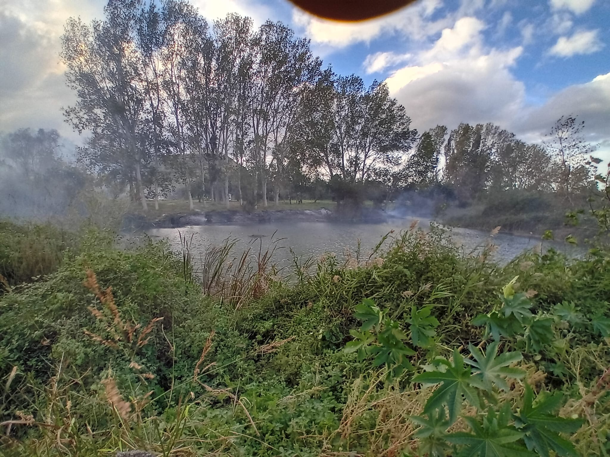 El incendio en Gandia llega al parque natural del Ullals.