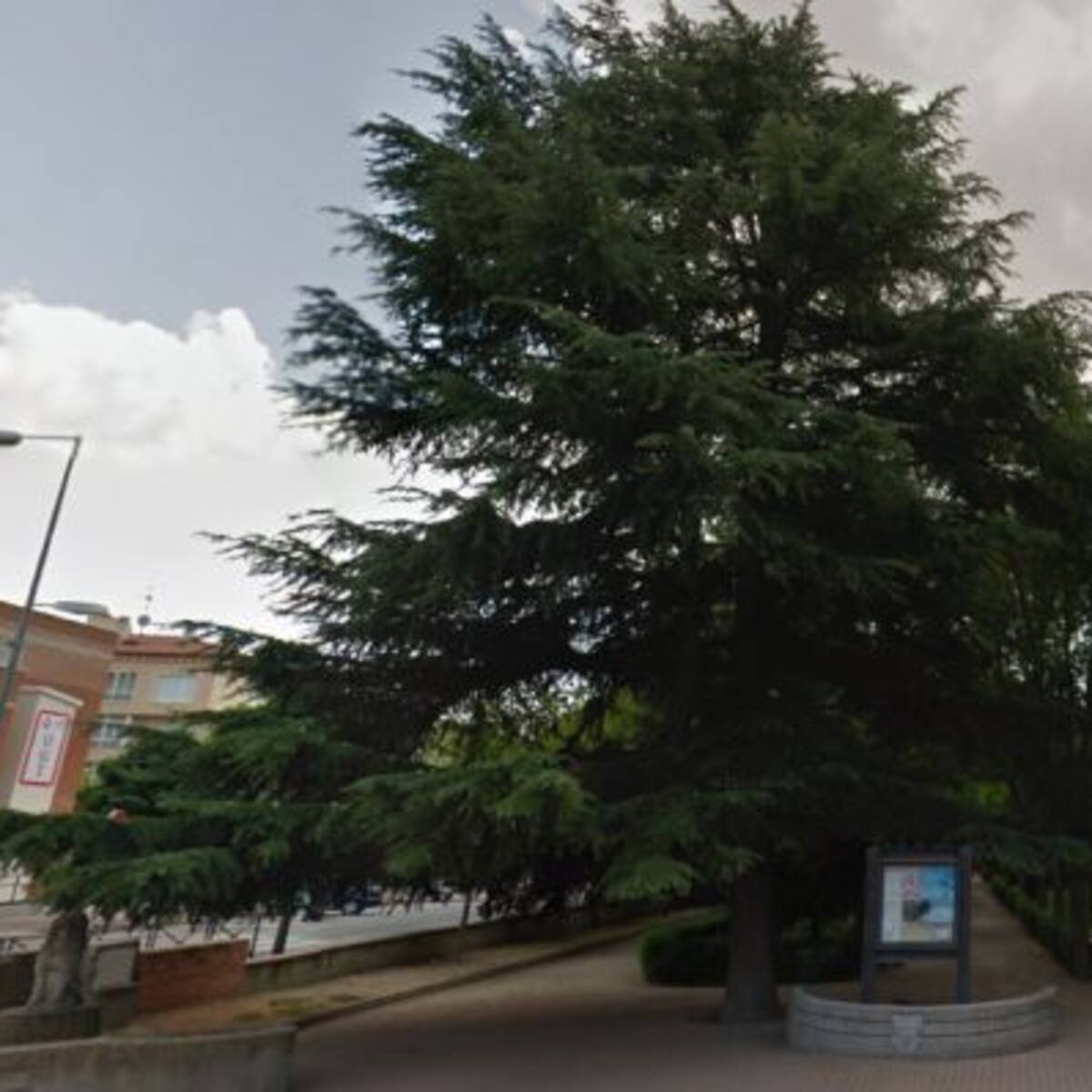 “El adoquinado del paseo de la Alameda no desvirtua el parque”