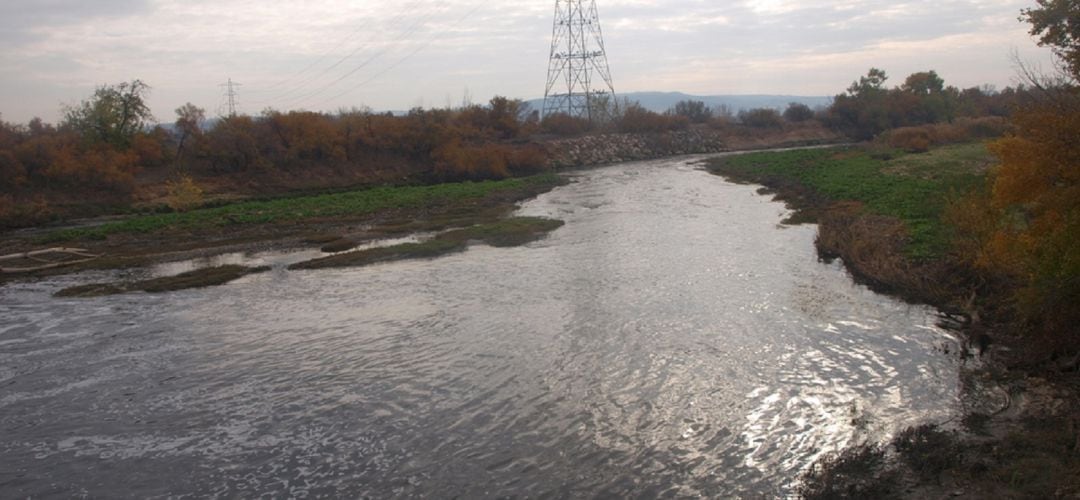 La iniciativa quiere limpiar el cauce del río Jarama