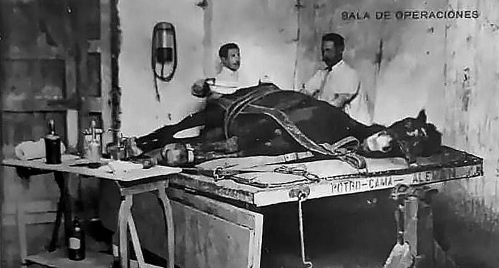 Vidal Alemán (derecha), en la mesa que diseñó para intervenir équidos