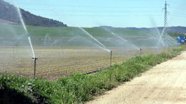 Buena campaña dee riego