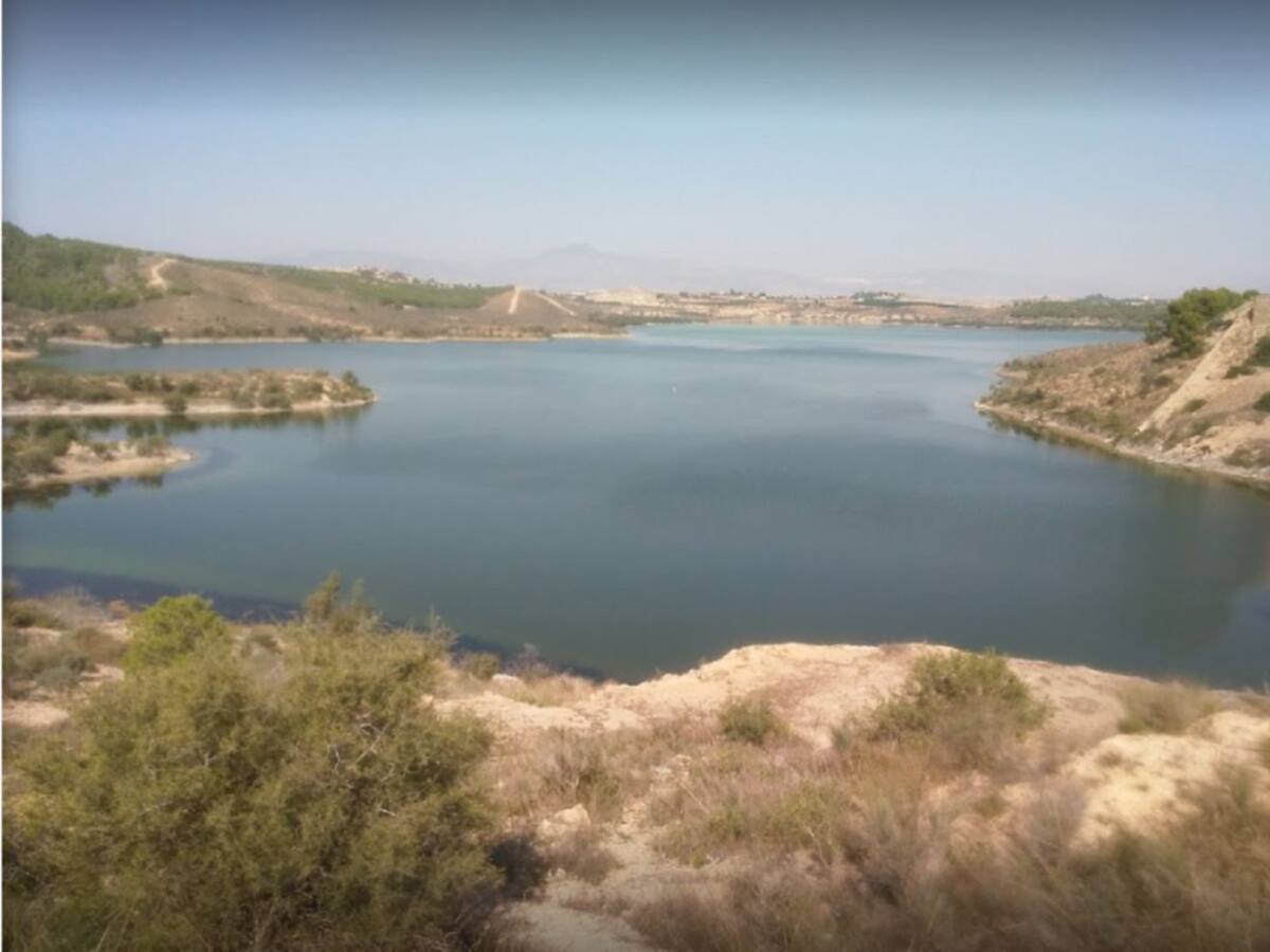 Los embalses del Segura suman 6 hm3 en la última semana y están al 28,2 %