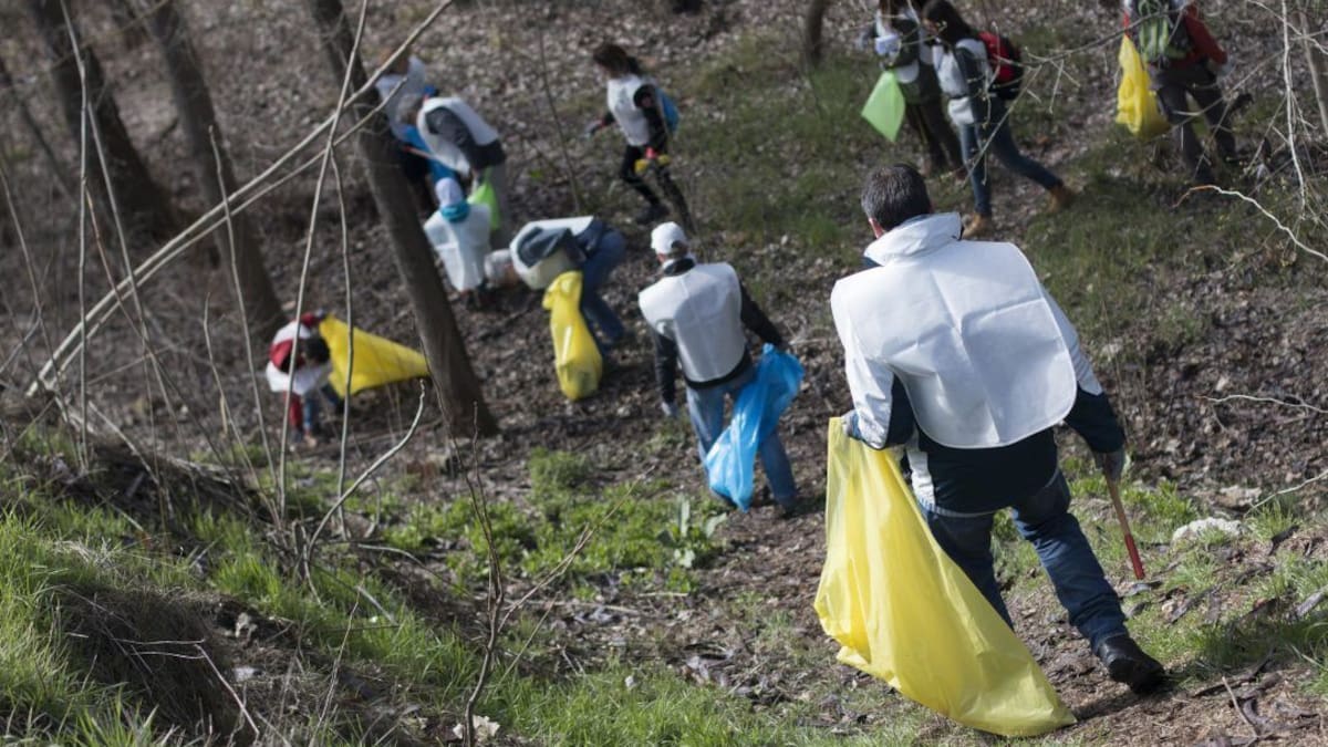 Voluntarios participan en un programa de recogida